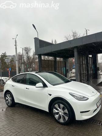 Tesla Model Y I Long Range Electro AT 4WD