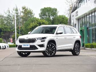 Skoda Kamiq I (China Market) 1.5 AT