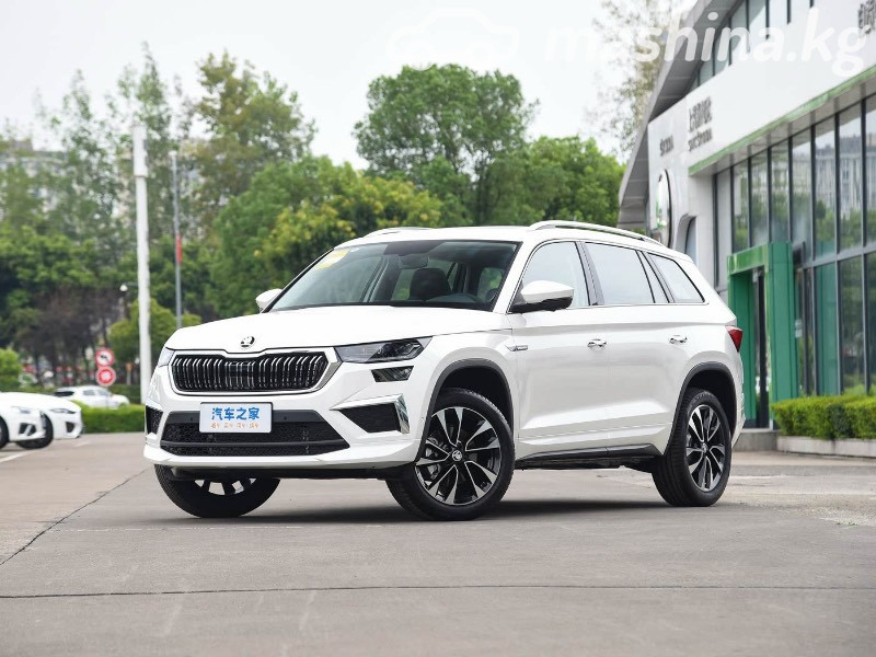 Skoda Kamiq I (China Market) 1.5 AT