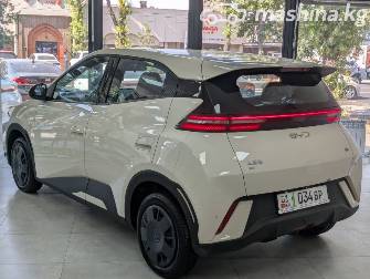 BYD Seagull 30.08 kWh Electro AT