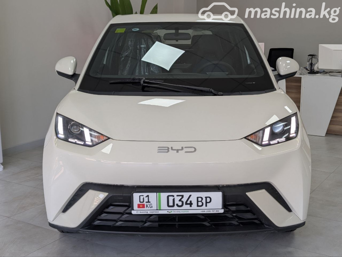 BYD Seagull 30.08 kWh Electro AT