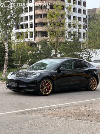 Tesla Model 3 I Standart Plus Electro AT