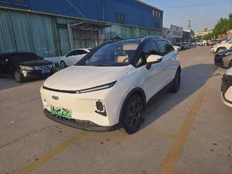 Geely Geometry E 33.5 kWh Electro AT