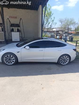 Tesla Model 3 I Long Range Electro AT 4WD