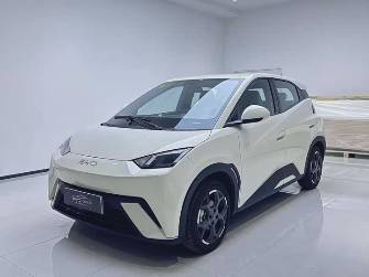 BYD Seagull 30.08 kWh Electro AT
