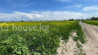 Участок, 957 соток
