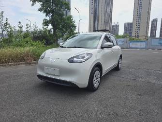 Wuling Binguo 17.3 kWh Electro AT