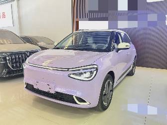 Dongfeng Nammi 01 31.45 kWh Electro AT