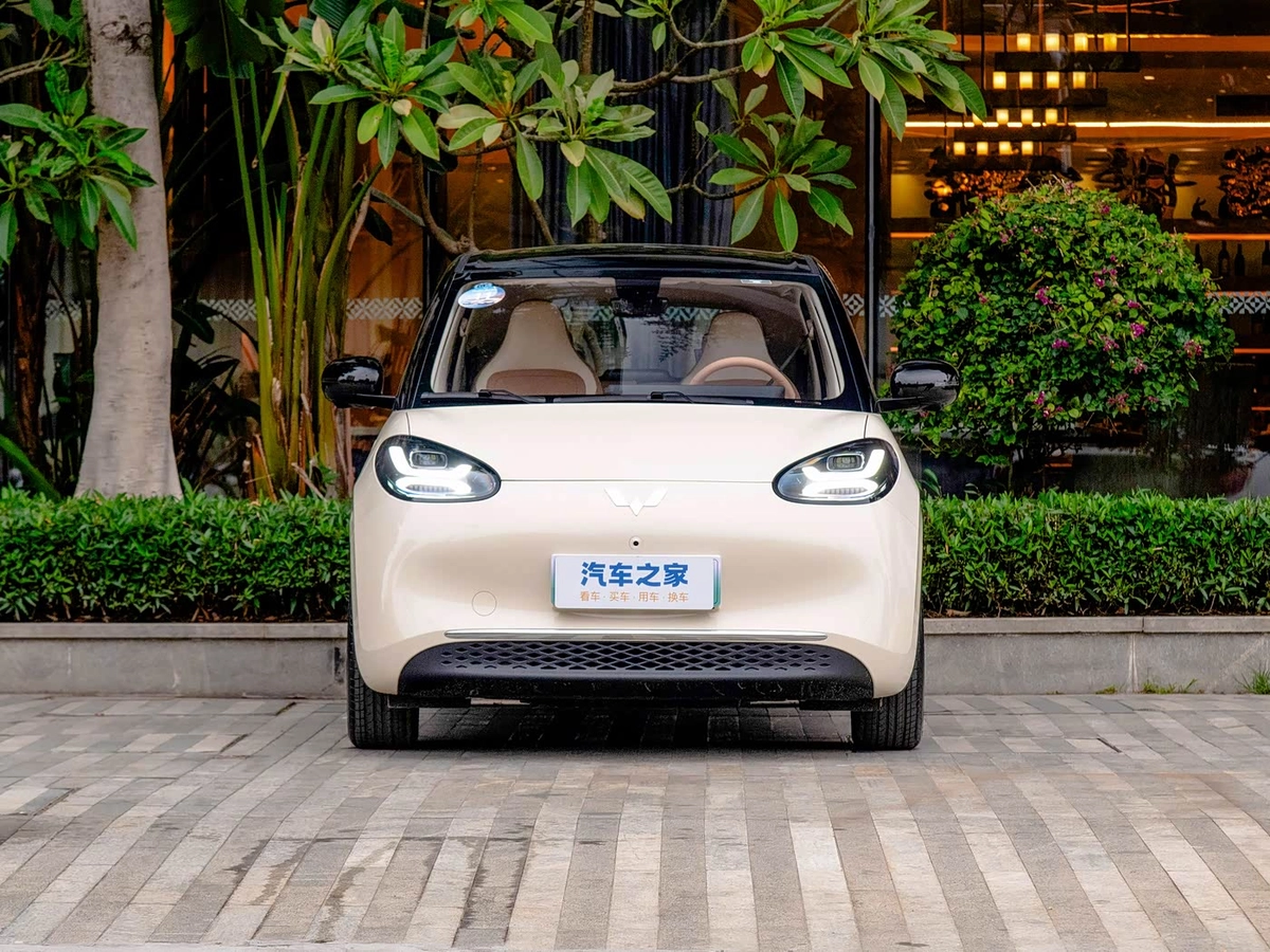 Wuling Binguo 37.9 kWh Electro AT