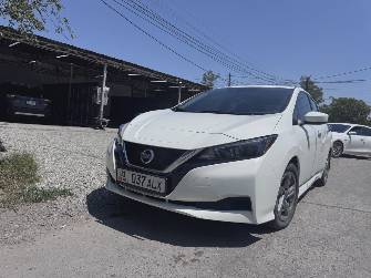 Nissan Leaf II (ZE1) Electro AT