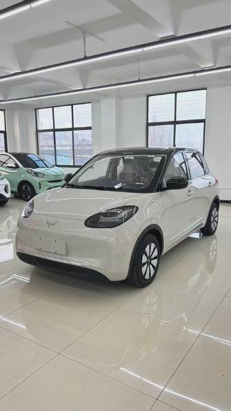 Wuling Binguo 31.9 kWh Electro AT