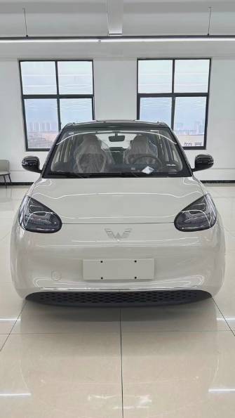 Wuling Binguo 31.9 kWh Electro AT