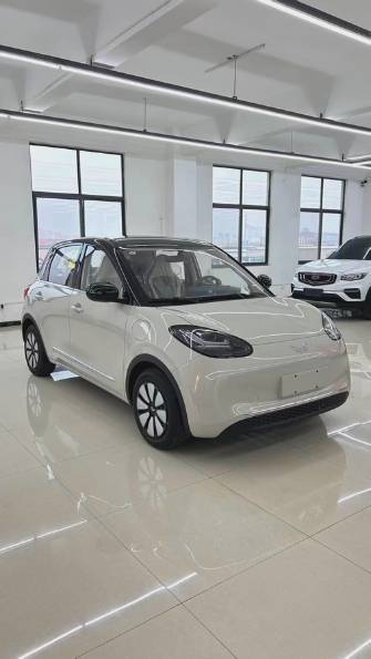Wuling Binguo 31.9 kWh Electro AT