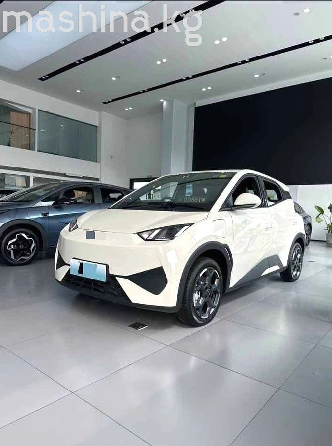 BYD Seagull 30.08 kWh Electro AT