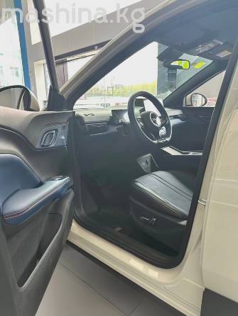 BYD Seagull 30.08 kWh Electro AT