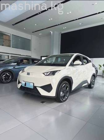 BYD Seagull 30.08 kWh Electro AT