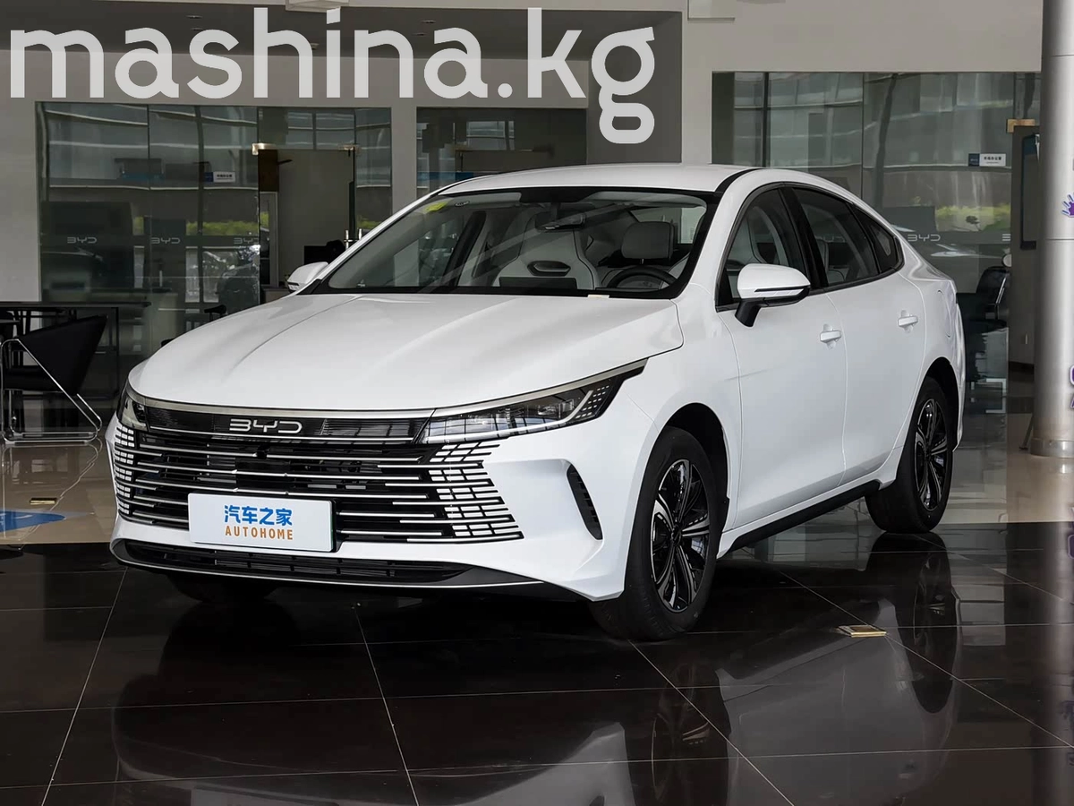 BYD Destroyer 05 1.5hyb AT