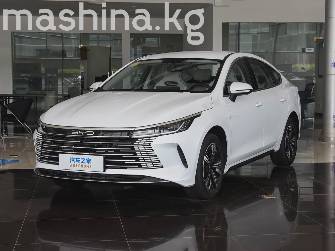 BYD Destroyer 05 1.5hyb AT