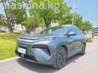 BYD Tang L DM-i 1.5hyb AT