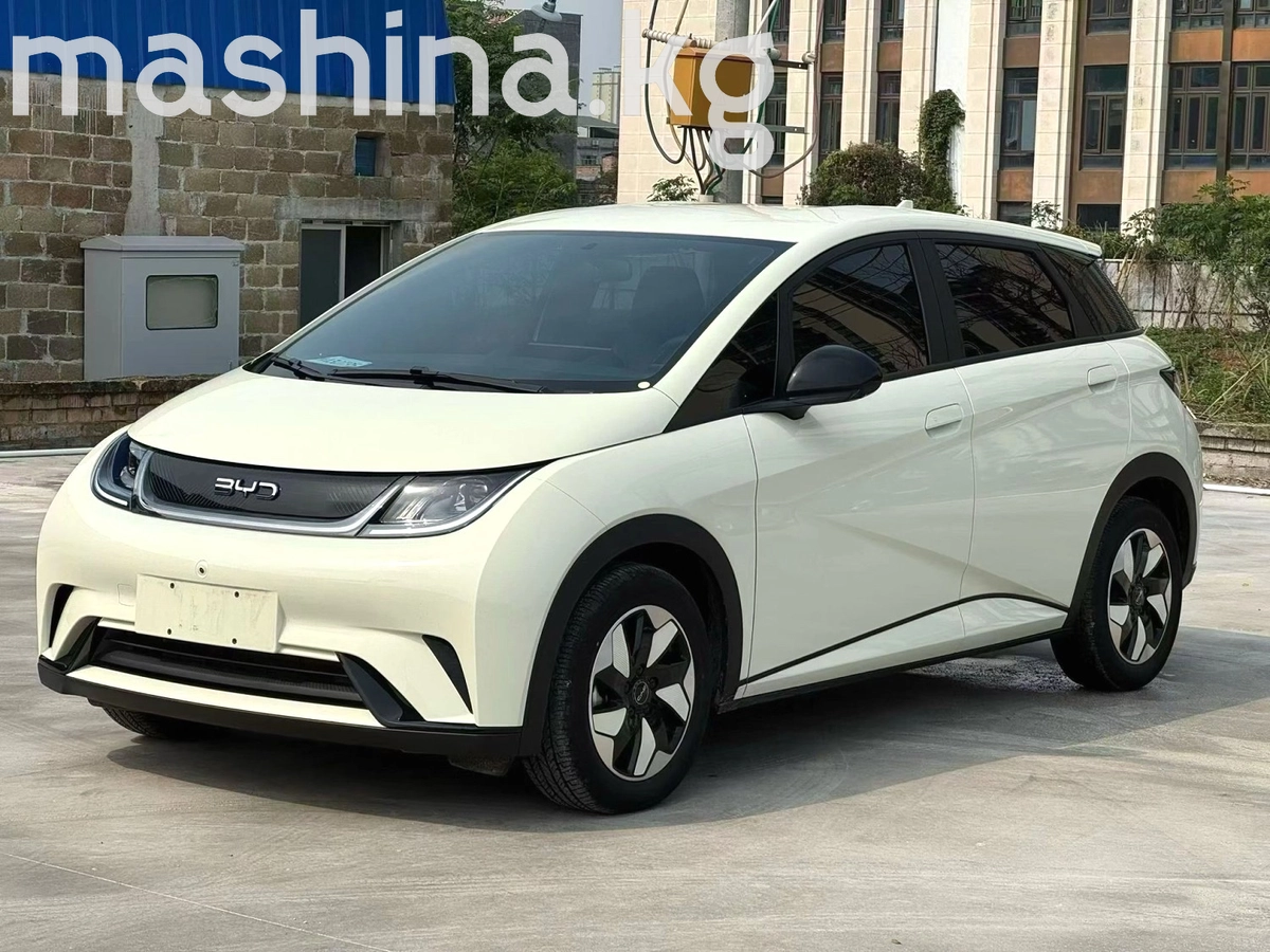 BYD Dolphin 44.9 kWh Electro AT