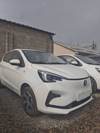 Changan Benben E-Star 31 kWh Electro AT