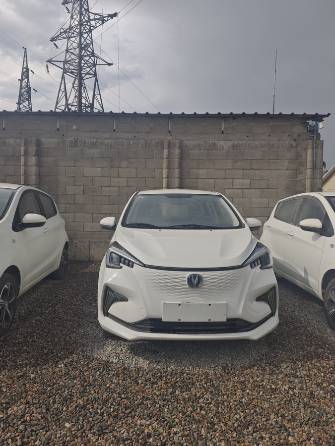 Changan Benben E-Star 31 kWh Electro AT