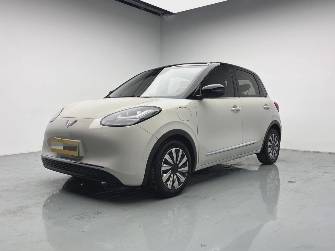 Wuling Binguo 37.9 kWh Electro AT