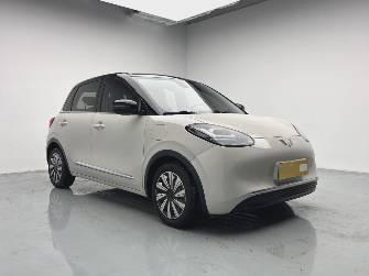 Wuling Binguo 37.9 kWh Electro AT