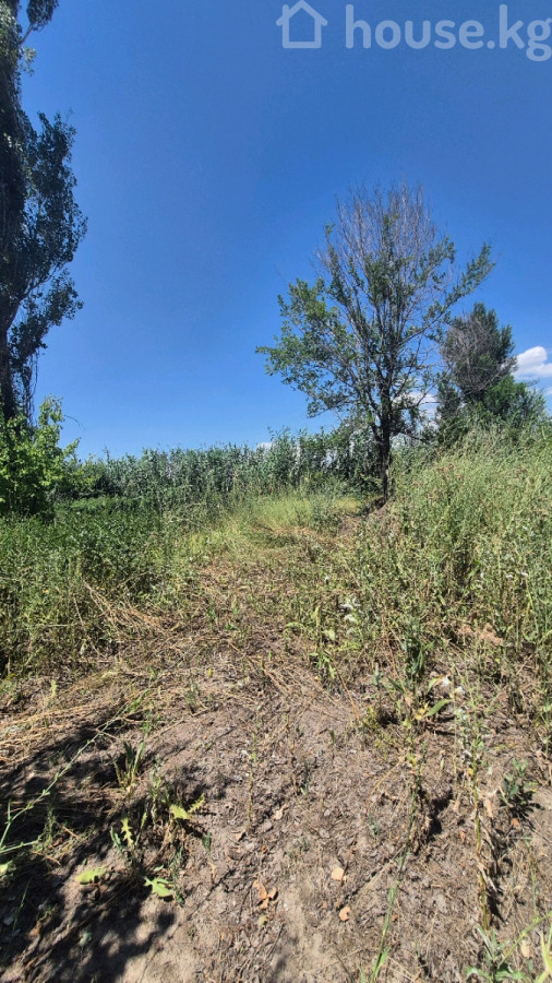 Участок, 17.1 соток