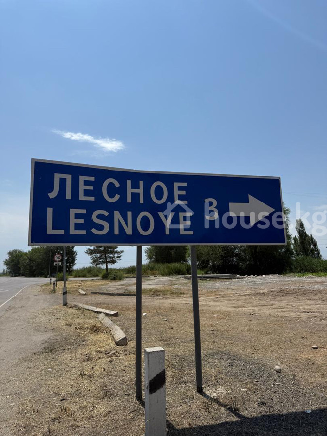 Участок, 56 соток