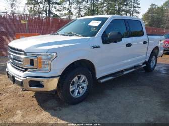 Ford F-150 XIII Рестайлинг 5.0 AT 4WD