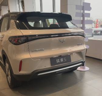 Wuling Binguo 31.9 kWh Electro AT