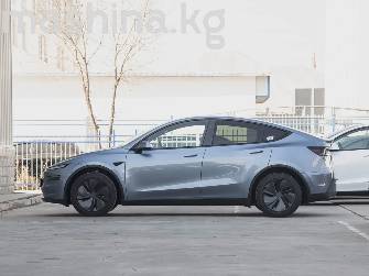 Tesla Model Y I Long Range Electro AT