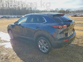 Mazda CX-30 I 2.5 AT 4WD