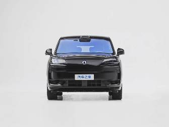 Denza N9 2.0hyb CVT 4WD