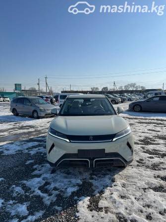 BYD Yuan Up 45.12 kWh Electro AT