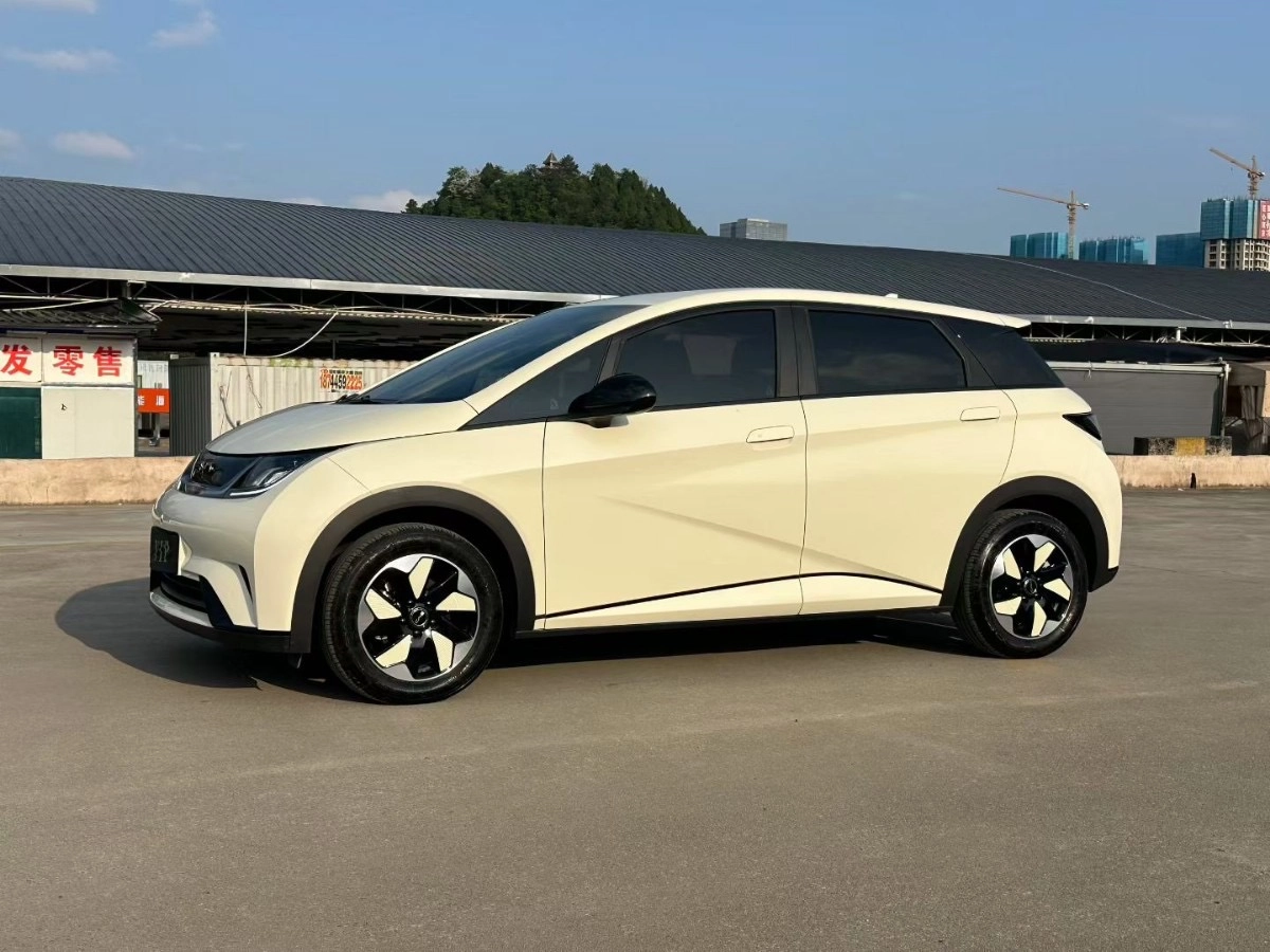 BYD Dolphin 44.9 kWh Electro AT