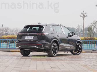 Volkswagen Tiguan II (China Market) X 2.0 AMT