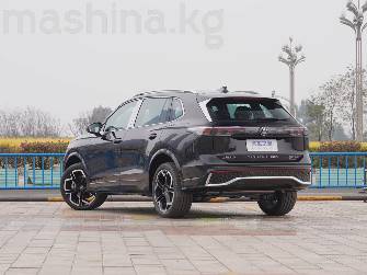 Volkswagen Tiguan II (China Market) X 2.0 AMT