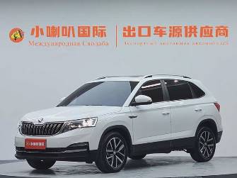 Skoda Kamiq I (China Market) 1.5 AT