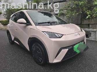 BYD Seagull 30.08 kWh Electro AT