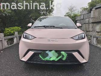 BYD Seagull 30.08 kWh Electro AT