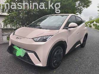 BYD Seagull 30.08 kWh Electro AT