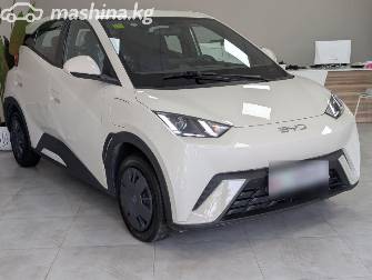 BYD Seagull 30.08 kWh Electro AT