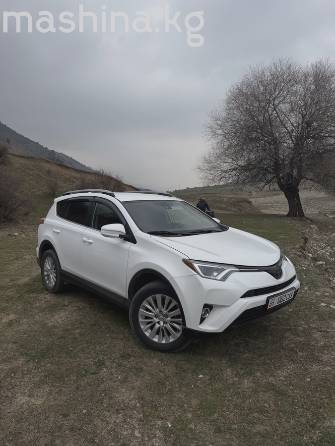 Toyota RAV4 IV (XA40) Рестайлинг 2.5 AT 4WD